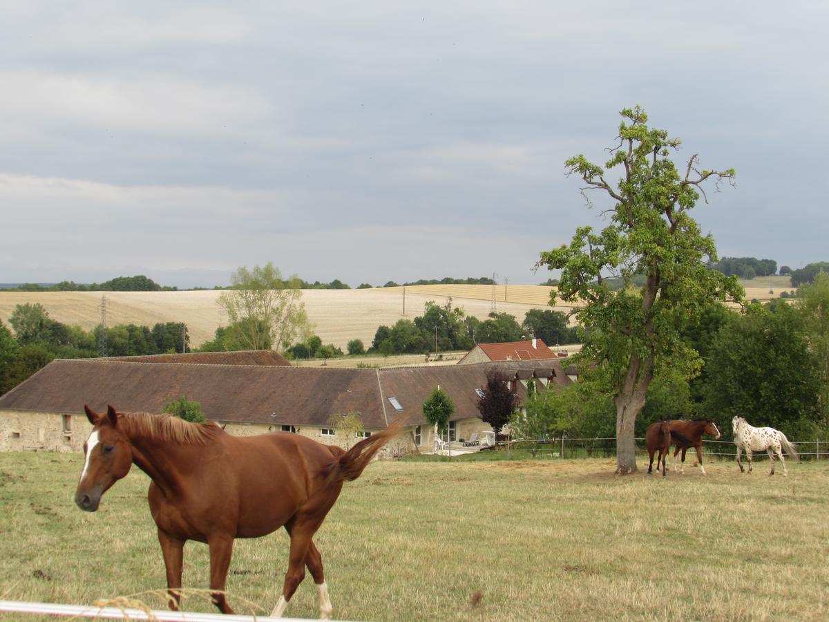 Ferme Historique Jean De La Fontaine Et Ses Chambres D'Hotes Hammam-Spa - 4 Etoiles Chierry Εξωτερικό φωτογραφία